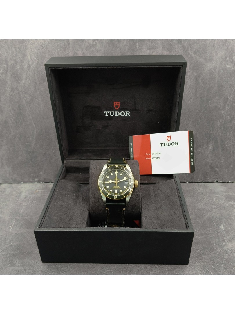 Tudor Black Bay gold steel ref.79733N on eOra.it!